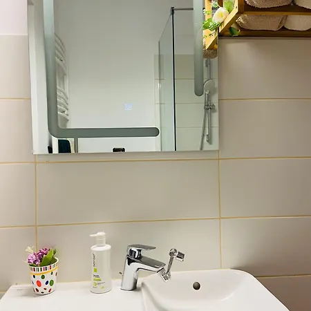 Appartement Magnolia Constanţa