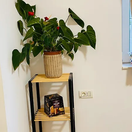 Appartamento Magnolia