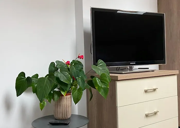 Magnolia アパート *