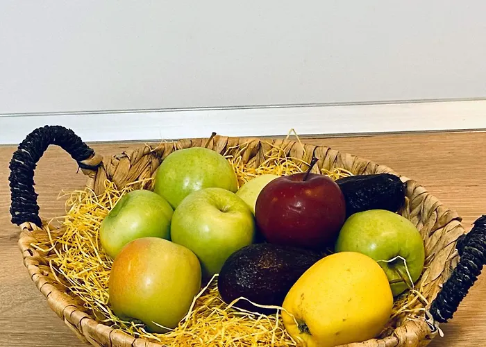 Magnolia アパート コンスタンツァ