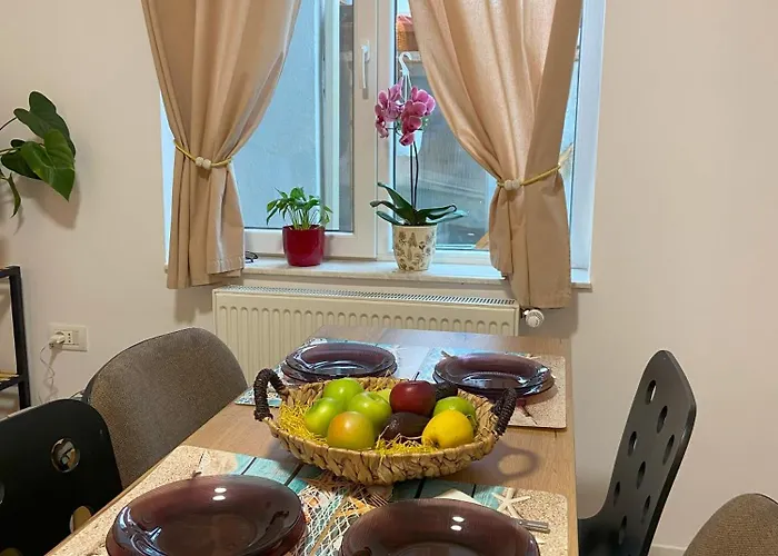 Magnolia コンスタンツァ