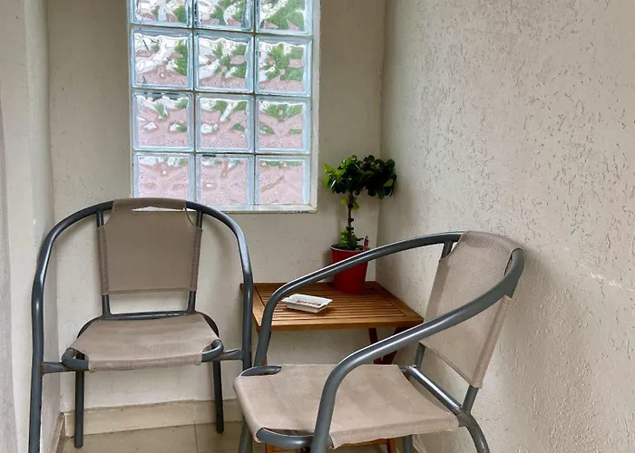 Magnolia コンスタンツァ