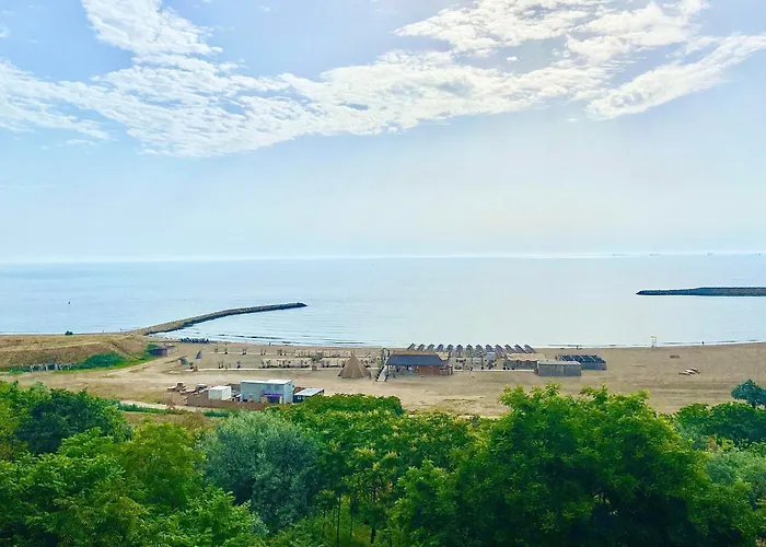 Magnolia コンスタンツァ