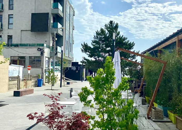 Magnolia コンスタンツァ